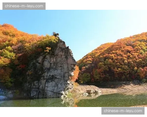 速报：巴塞罗那3-1逆转塞尔塔，佩德里全场跑动距离达12.8公里冠绝全队